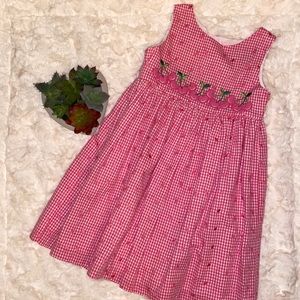 Rare Editions Pink Gingham Cherry Dress Sz. 4